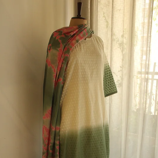 Chanderi shaded dress